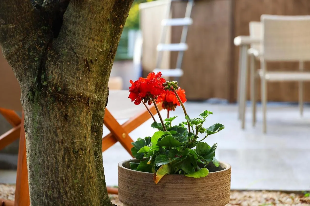 Apartment The Florens Residence Near The Beach With The Pool, Bbq And Kids Playground, Zadar Diklo Croatia